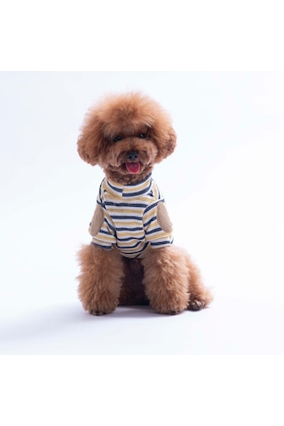 Sarı Marseille Softline Çizgili Kedi Köpek Sweati Köpek Kıyafeti Kedi Kıyafeti