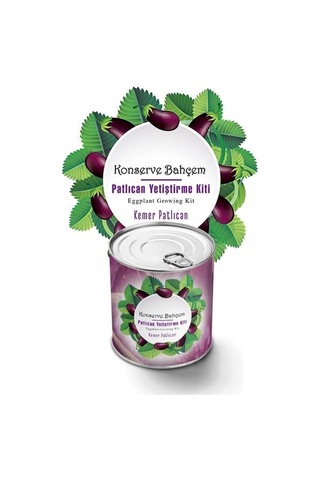 Buffer Konserve Bahçem Evde Konservede Kemer Patlıcanyetiştirme Kiti Mavi