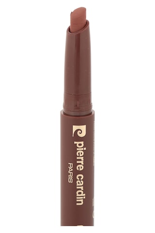 Pierre Cardin Chubby Silky Matte Lipstick Waterproof-ruj-coffee-606