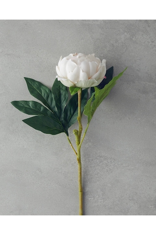 English Home Peony Tek Dal Yapay Çiçek Şampanya Şampanya