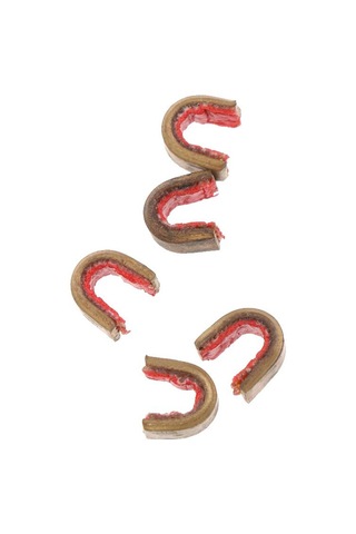 Dolıty 5 Parça Bowstring Nocks Seti, Okçuluk Yay Dize Toka Beyaz