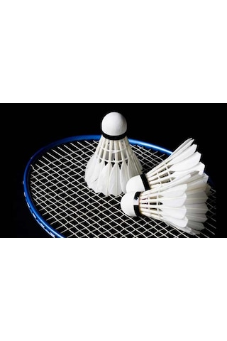 Badminton Filesi 6.10m x 75 CM