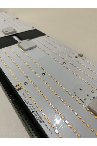 240w Lm283b Bitki Yetiştirme Lambası Full Spektrum