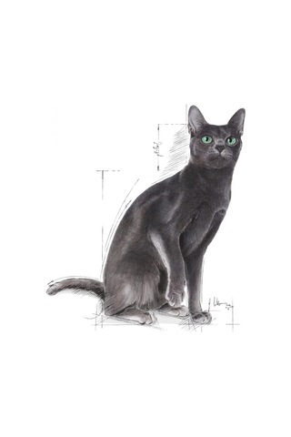 Sterilised Kısır Kedi Maması 2kg