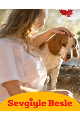 Pedigree Markies Köpek Ödül Bisküvisi 150 Gr 2 Adet