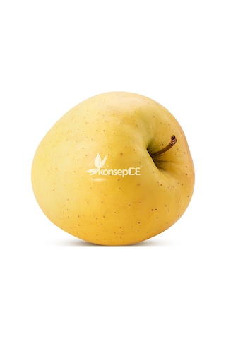 Elma Golden Delıcıous Fidanı N11.893