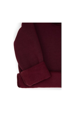 U.S. Polo Assn. Erkek Çocuk Bordo Basic Kapüşonlu Sweatshirt 50313808-VR177