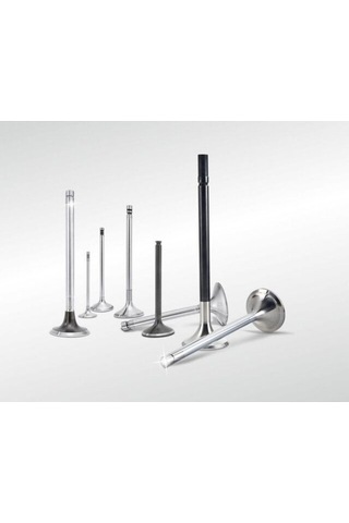 Subap Gaydı 208 301 C-elysee 12v G0286-9676359180