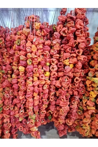 Kurutmalık Yeni Mahsul Dolmalık Acı 1 Dizi Biber 50 Adet