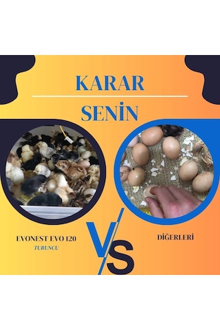 Evonest 120 Yumurtalık Kuluçka Makinesi Turuncu Renk