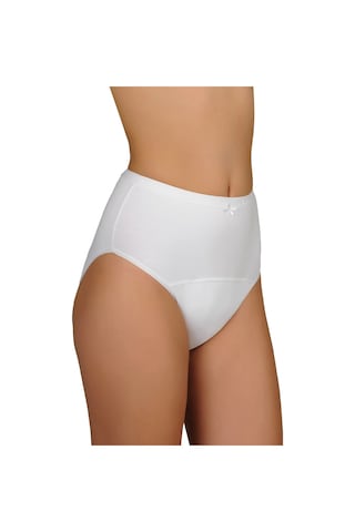 Camelia Emici Ve Koruyucu Yıkanabilir Külot Beyaz