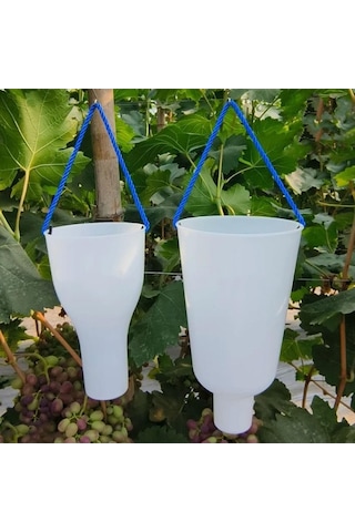 Pazly Yetiştirme Üzüm Suntek S Meyve Kabı Islatma Bakımı Jw