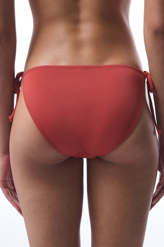 Penti Tarçın Rengi Bağlamalı Düşük Bel Bikini Altı