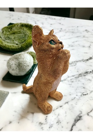 Polyester Kedi Biblo