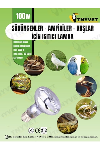 Tnyvet 100 Watt / Gün Işığı Güneş Lambası Isıtıcı Lamb