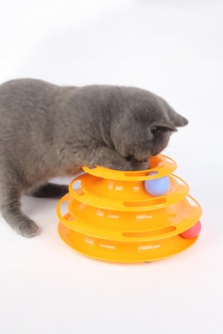Thentech Dönebilen Hazneli Oyuncak 3 Katlı Kedi Köpek Oyuncağı Turuncu