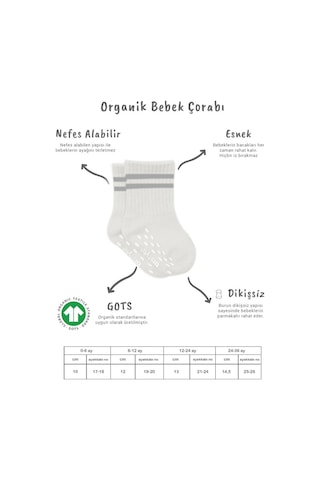 Akıllı Bayi 5'li Penye Kaymaz Çember Soket Çorap 10122 Ekru renkli