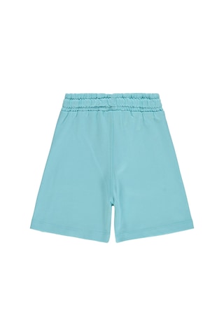 Civil Boys Basic Have Fun Baskılı 2-5 Yaş Şort - Yeşil Koyu Mint