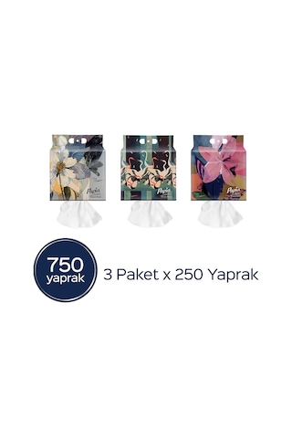 Home Asmalı Havlu 250'li X3 Adet 750 Yaprak