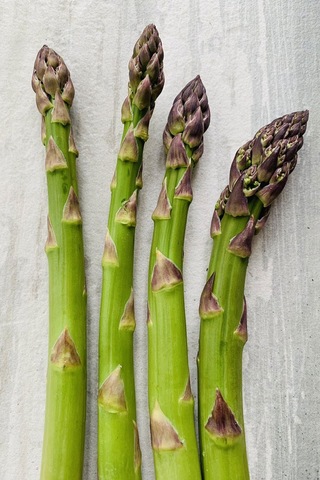 Kuşkonmaz Tohumu Mary Washington Geleneksel Asparagus Seeds