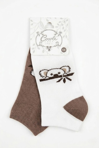 Cocole Socks Çocuk Patik Çorabı 2 Li Set Pamuklu Ekru & Kahverengi Koala Desenli Çok Renkli