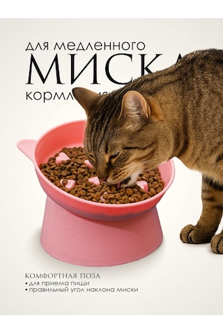 Vektorı Kedi Kabı 391740899