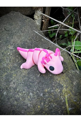 Axolotl Oyuncak 3D Hareketli Yeni Nesil Organik Model - Orta Boy