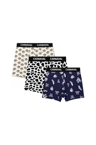 Carnaval Socks Carnaval Lazy Friends Erkek Boxer 3 Lü Set Çoklu