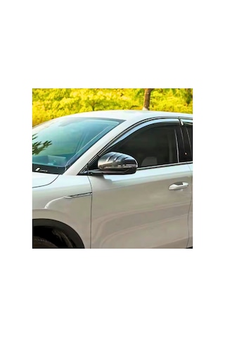 Red Lion Parts Byd Seal U Karbon Fiber Görünüm Yan Dikiz Ayna Kapakları 2 Li Set Abs