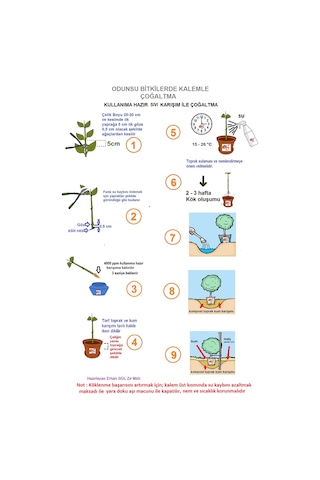 Çelik Köklendirme Hormonu. 4000 Ppm Dal Köklendirme Hormonu 250M