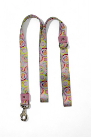 Metal Kilitli Köpek Tasma Seti, Boyun Tasması Ve Gezdirme Kayış 1 Çok Renkli