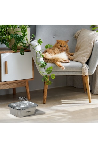 Xenon Smart Kedi Su Pınarı | 3 Lt, Çelik, Akıllı, Ultra Sessiz, Mobil Kontrol Destekli, Kedi Çeşmesi (X8651)