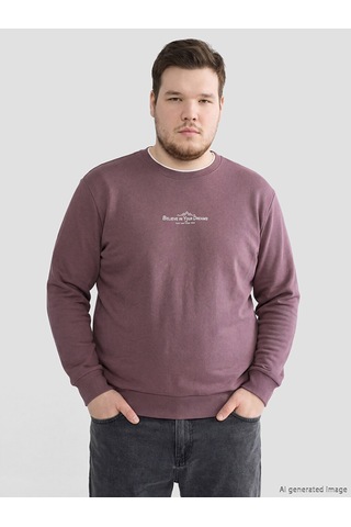 Lcwaıkıkı Classic Mürdüm Regular Fit Bisiklet Yaka Baskılı Erkek Sweatshirt