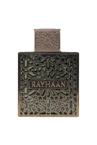 Rayhaan Terra Erkek Parfüm 100 Ml Diğer