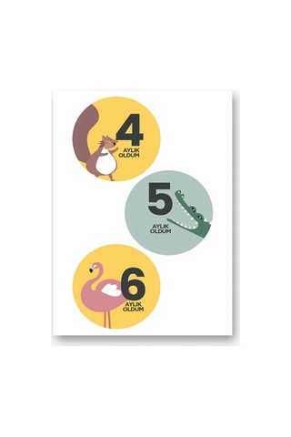 Le Color Lecolor Bebek Sticker Seti Abanoz