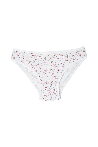 Karışık Renkli 5'li Paket Kadın Desenli Külot Pamuklu Likralı Esnek Kumaş Desenli