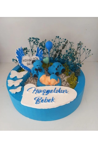 Hoşgeldin Erkek Bebek 2 Teraryum Teraryum