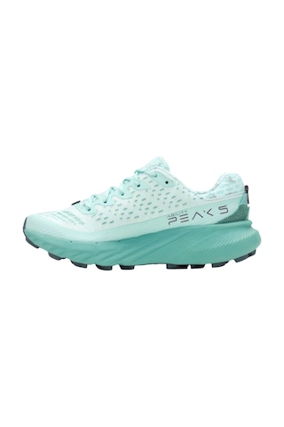 Merrell Agility Peak 5 Patika Koşusu Ayakkabısı Çok Renkli