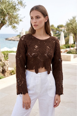Sayzen Your Shine Dantel Işleme Crop Bluz Sy-shn04 Kahverengi
