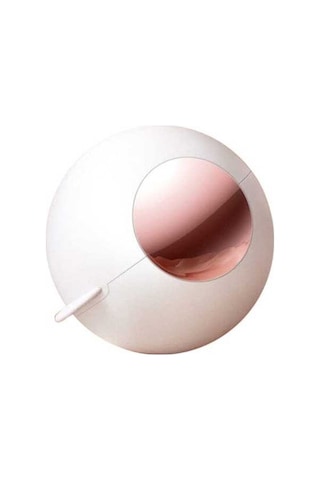 Besthome1 Pratik Yeniden Kullanılabilir Tüy Toplayıcı - Her Yüzey İçin Hızlı Temizlik Beyaz Beyaz