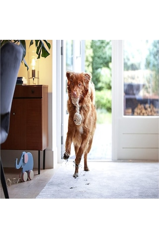 Bissell Spotclean Pet Pro Evcil Hayvanlı Evlere Özel Halı-koltuk Yıkama Ve Leke Çıkarma Makinesi 750w 15585