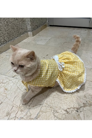 Sarı Beyaz Kareli Fiyonklu Kedi Köpek Kıyafeti Elbisesi Medium/m