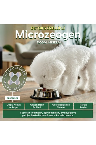 Nature's Protection Superior Care Beyaz Tüylü Köpekler İçin Tahılsız Beyaz Balıklı Tüm Irklar Ve Tüm Yaşam Evreleri Köpek Maması 4kg