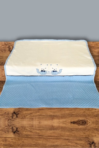 10 Parça Mavi Kedili Hastane Çıkışı Erkek Bebek Giyim Mavi