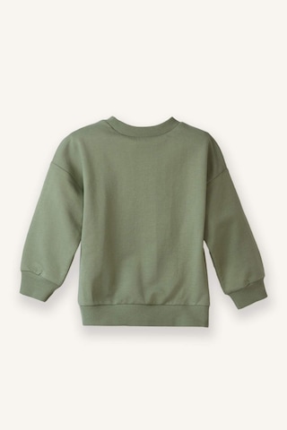 Defacto Erkek Bebek Bisiklet Yaka Basic Düz Sweatshirt A7343a526spkh434 Haki-kh434