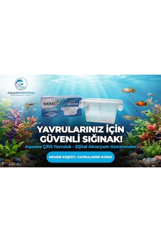 Aquawe Çiftli Yavruluk - Şeffaf Tasarım - 19,5 X 10 Cm - Şeffaf Vantuzlu - Sağlam Yapı - Balıklar İçin Güvenli