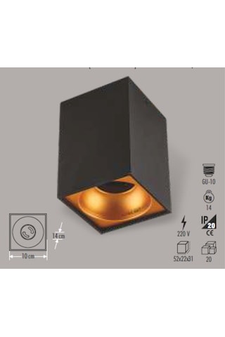 Ct 5420 Cata Bergama Siyah Gold Dekoratif Armatür Kasası G-10 Boş