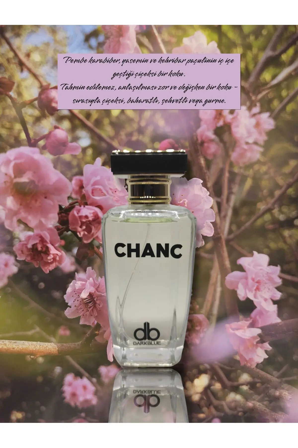 Chance 100ml Kalıcı Etkili Kadın Parfümü Çiçeksi