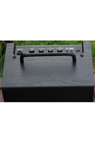 Ibanez Ibz10Bv2 Bas Gitar Amfisi (Jak Kablo)