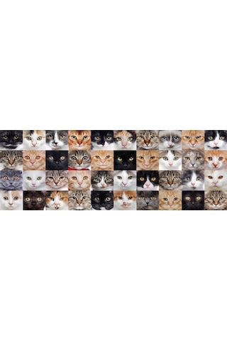 Nova Puzzle 1000 Parça Sevimli Kediler Kolajı Panorama Puzzle
